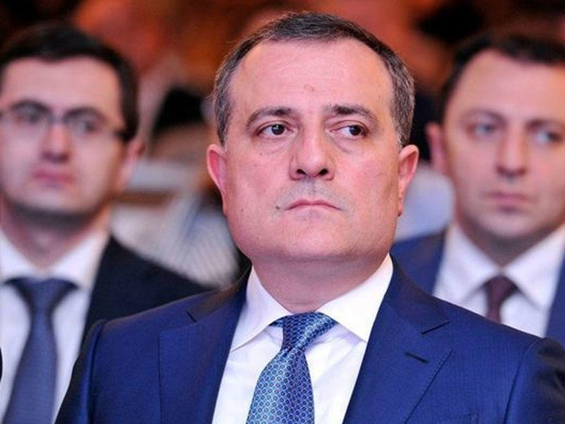 Nazir saxta diplomlu direktoru işdən çıxardı