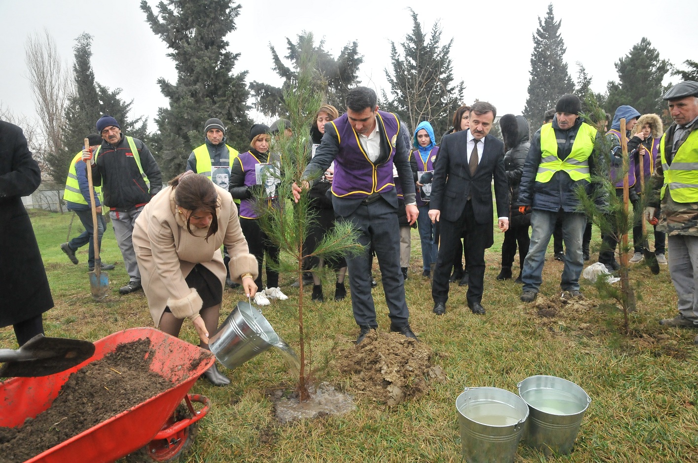 Abşeronda 20 Yanvar faciəsində həlak olan 147 şəhidin xatirəsinə 147 ağac əkildi – FOTO