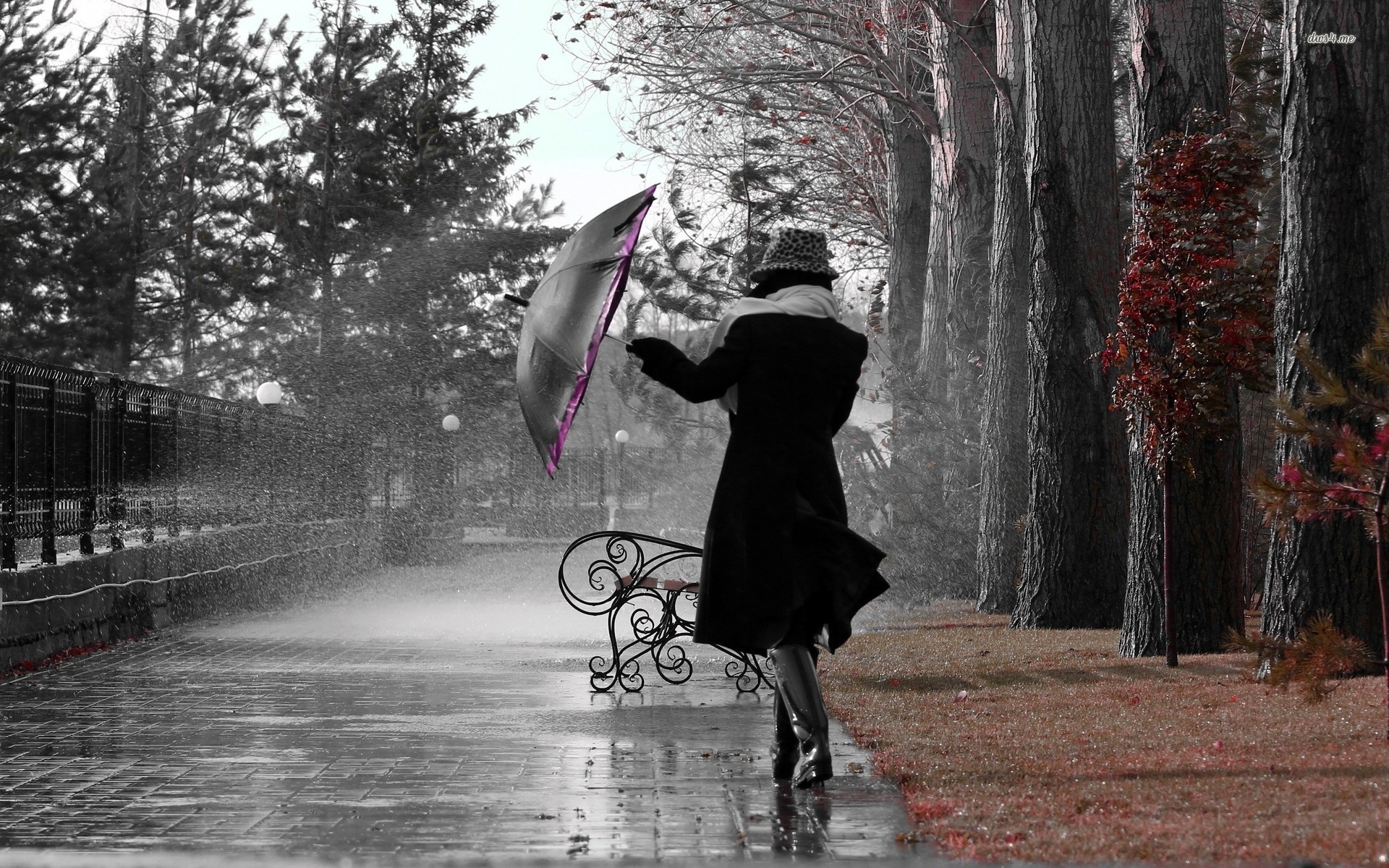 Sabah Bakıda temperatur 0 dərəcəyə düşəcək: Hava kəskin dəyişir