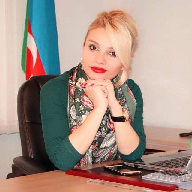 Pərvin Babayeva: "Getdiyim hər ərazidə ilk olaraq tənha analar ilə görüşürəm"