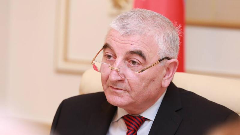 Bir qrup namizəd MSK-nın önündə aksiya keçirib, - Məzahir Pənahov polisə müraciət etdi