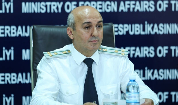 Eldar Sultanov: “Aysel Ələkbərzadə feminist hərəkatının qurbanıdır”