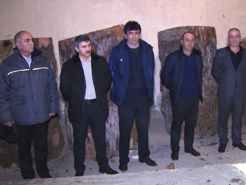 Ağacları qanunsuz kəsən mütəşəkkil dəstə zərərsizləşdirildi
