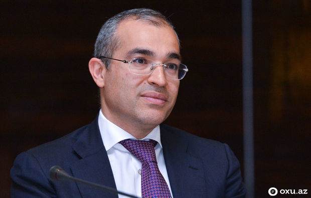 Mikayıl Cabbarov: “İxtisara yol verən sahibkarlara qarşı ciddi tədbirlər görüləcək” - VİDEO