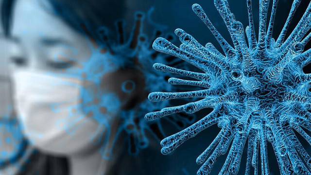 Azərbaycanda 558 aktiv koronavirus xəstəsi var