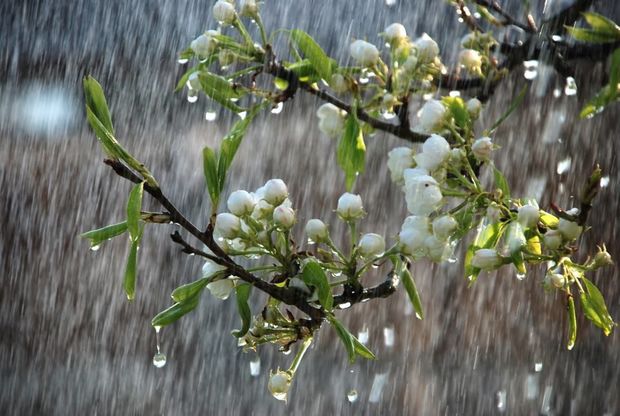 Hava kəskin dəyişir - XƏBƏRDARLIQ