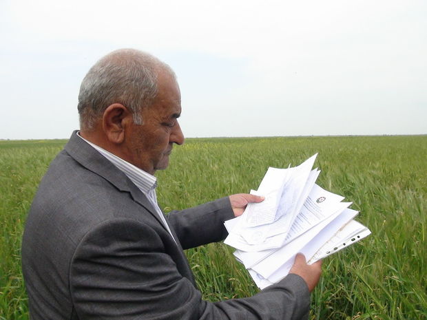Torpaqları əllərindən alınan ailələrin Prezidentə ünvanlandığı müraciət nəzarətə götürüldü - FOTO