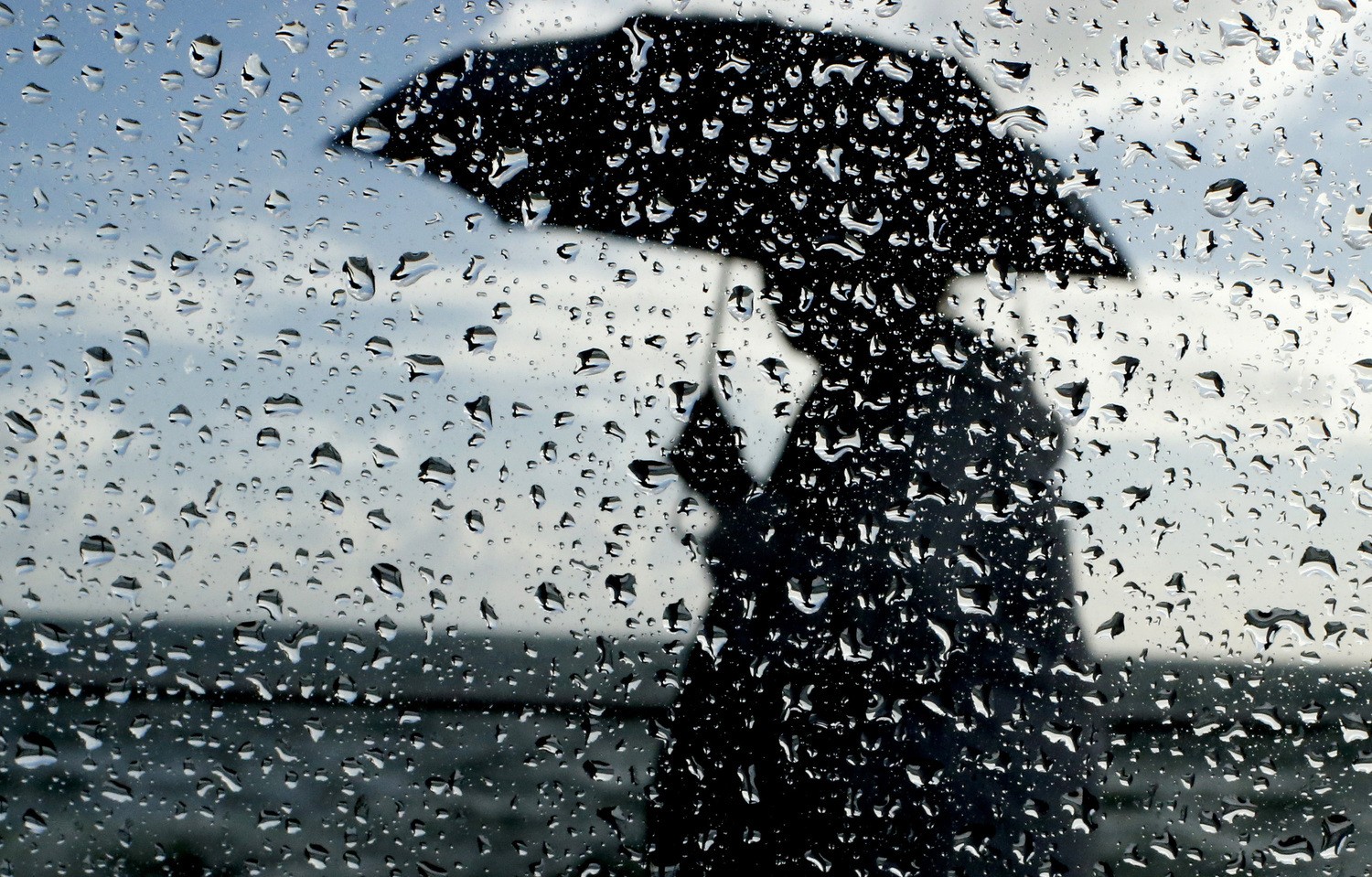 Havanın temperaturu 4-7 dərəcə aşağı enəcək - XƏBƏRDARLIQ