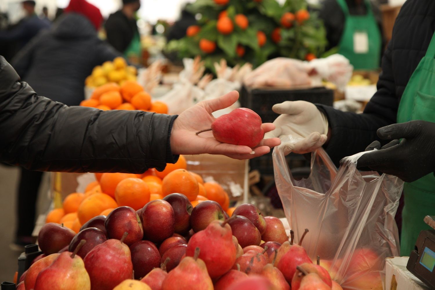 Bakıda “Kənddən Şəhərə” Ramazan yarmarkası keçiriləcək