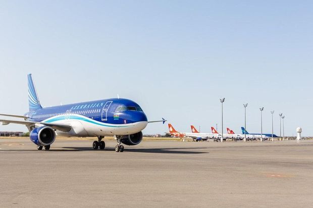 AZAL daha 175 nəfəri Moskvadan Bakıya gətirdi - FOTO