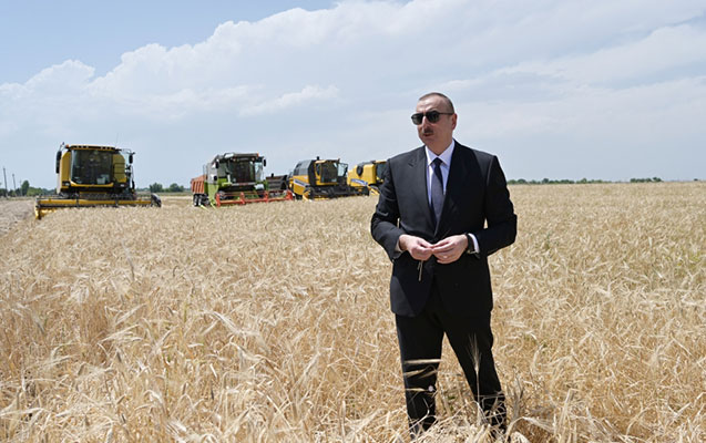 Prezident taxıl zəmisində olub - Foto
