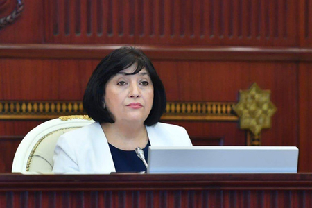"Bir ana, bir azərbaycanlı və Milli Məclisin Sədri olaraq xahiş edirəm..." - Sahibə Qafarova