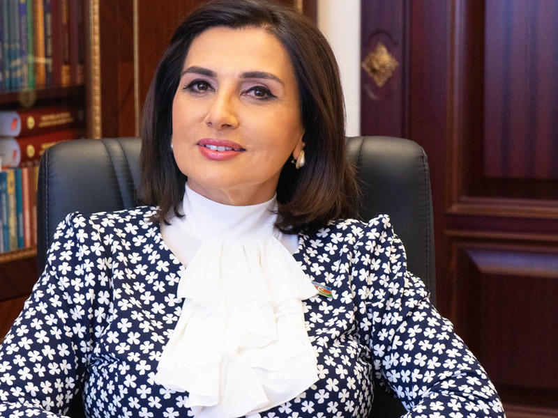 "Maska taxıb, sosial məsafəni qorumaqla pandemiyaya qalib gələ bilərik" - Deputat