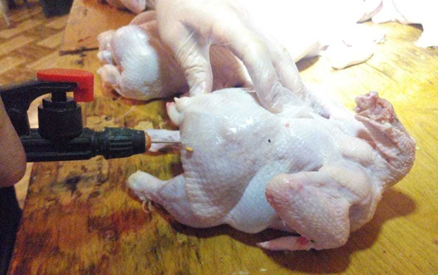 Süni şəkildə toyuqların çəkisini artıran sex bağlandı