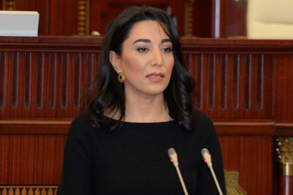 Ombudsman sərhəddə apardığı monitorinqin nəticələrini beynəlxalq təşkilatlara göndərdi