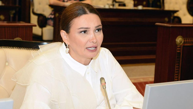 Tovuz təxribatı ilə bağlı Asiya PA ölkələrinə müraciət