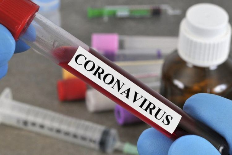 ÜST: "Koronavirus mövsümi xəstəlik deyil" - VİDEO 