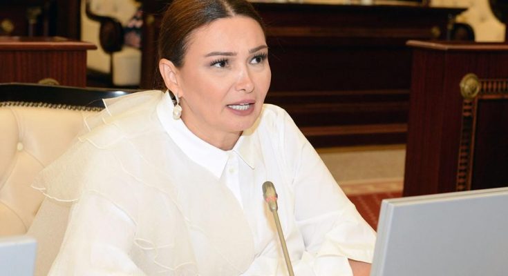 “Tovuzla bağlı ciddi addımlar atılacaq” – Qənirə Paşayeva
