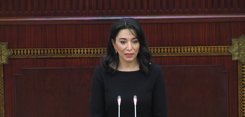 Səbinə Əliyeva danışdı: "Fəaliyyətimizi davam etdiririk"