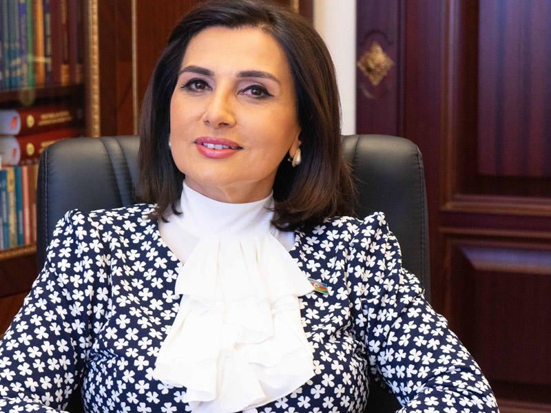 Milli Məclis Jalə Əliyeva ilə bağlı məlumat yaydı