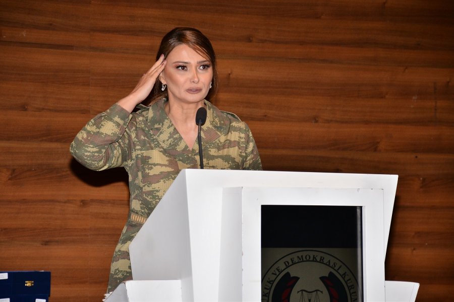 Qənirə Paşayeva Tovuzdakı son vəziyyət haqda danışdı