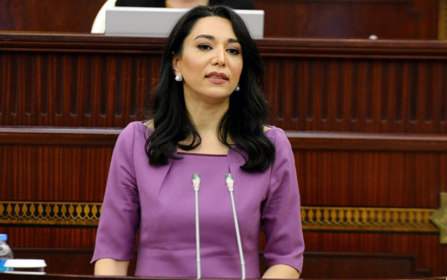 Ombudsman beynəlxalq təşkilatlara müraciət etdi