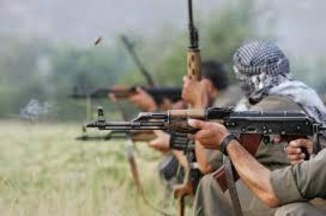 Amerikalı ekspert: Xankəndidə təxminən 100 PKK üzvü döyüşür