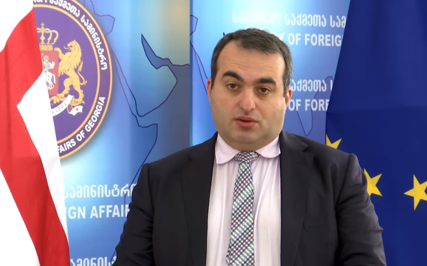 Nazir müavini: “Gürcüstan ərazisi ilə hərbi yüklərin tranzitinə yol verməyəcək”