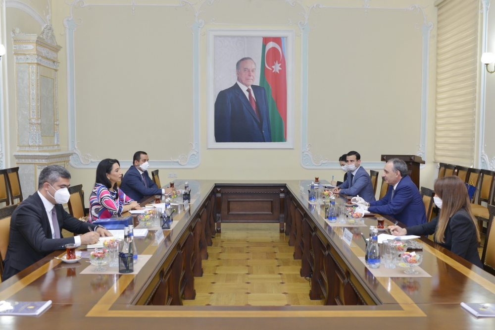 Kamran Əliyev Türkiyənin Baş Ombudsmanı ilə görüşüb