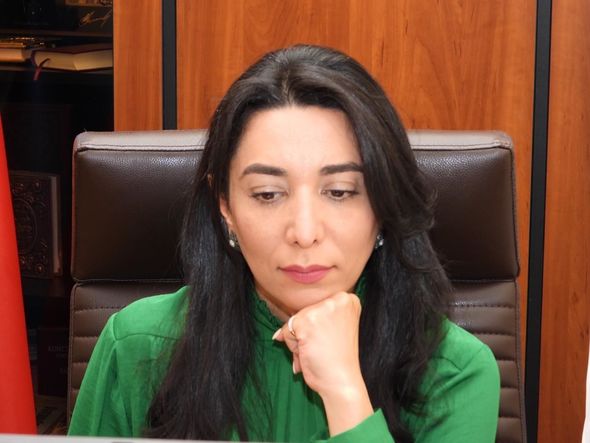 Səbinə Əliyeva Türkdilli Ölkələrin Ombudsmanlarının onlayn görüşündə iştirak edib - FOTO