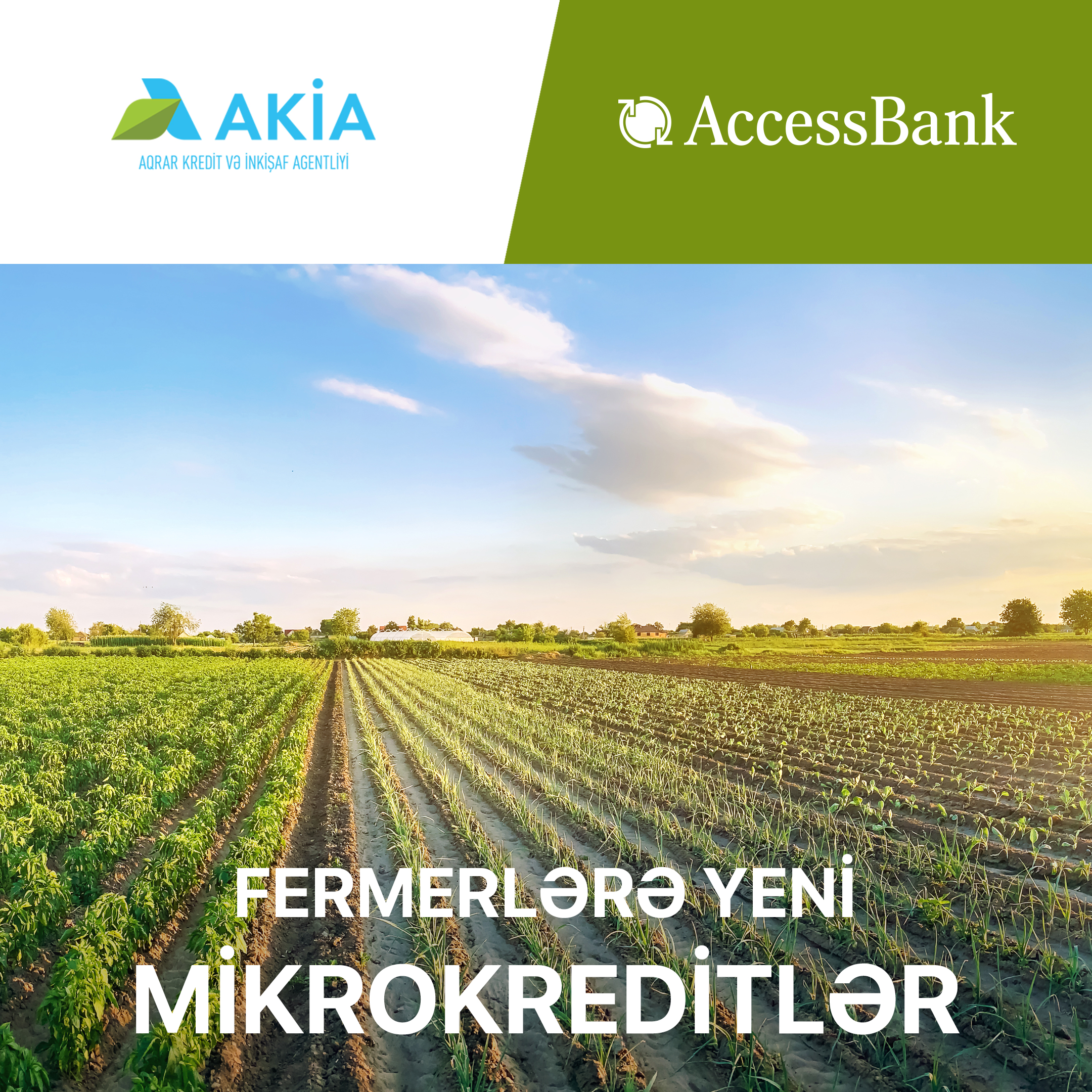 “AccessBank” fermerlərə yeni mikrokreditlər təqdim edir