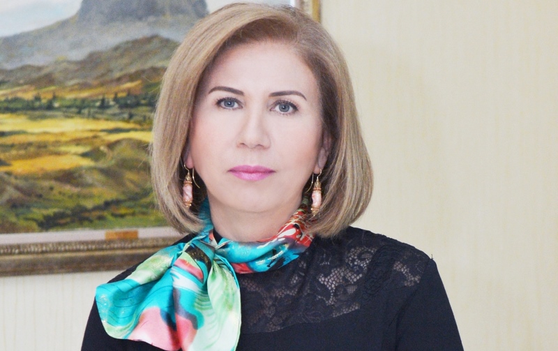 Azərbaycan güc tətbiq etməsəydi, Ermənistan əsir və girovları qaytarmayacaqdı - Bahar Muradova