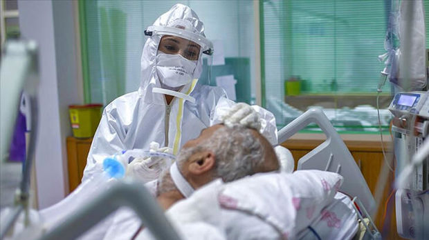 COVID-19 ilə bağlı poliklinikalar yaxmanı necə götürməlidir? - AÇIQLAMA