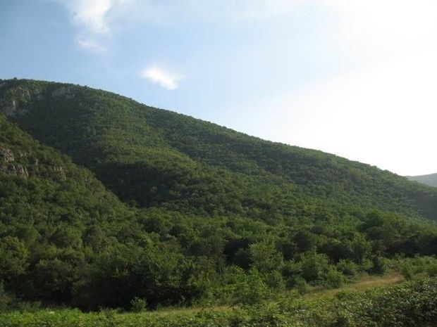 İşğaldan azad edilən torpaqlarımızda yeni qoruqlar yaradılacaq - RƏSMİ