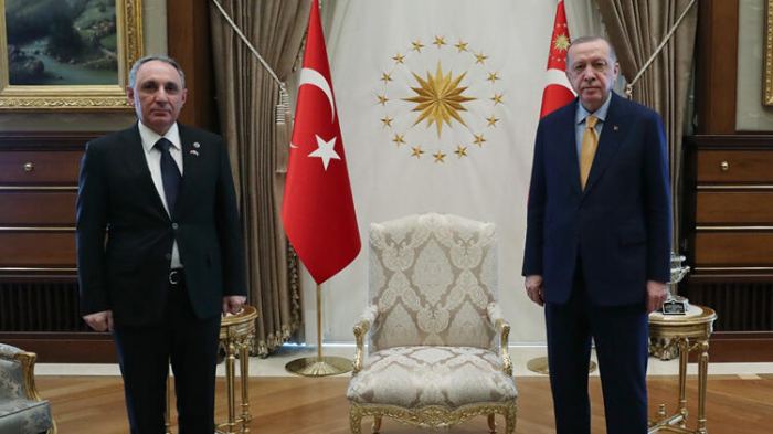 Türkiyə prezidenti Azərbaycanın Baş prokurorunu qəbul etdi