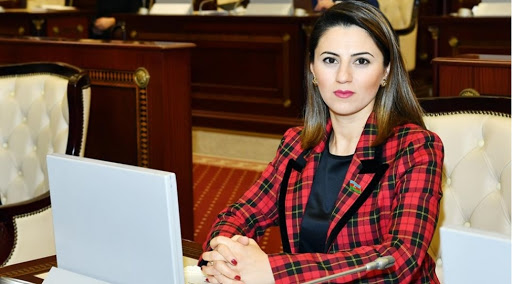 Sevinc Fətəliyeva Milli Məclisdə əlillərin sosial müdafiəsi məsələsinə toxundu