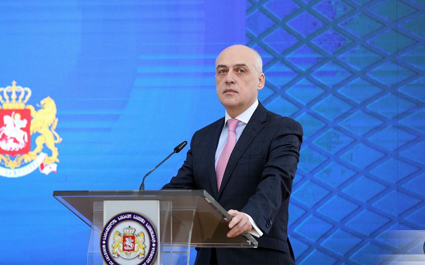 Gürcüstanın XİN başçısı sabah Türkiyəyə səfər edəcək