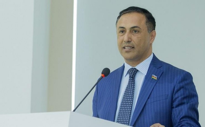 Elman Nəsirov: “Gecə-gündüz etiraz edən o adamlar zəhmətdən uzaqdırlar, işləmək istəmirlər”
