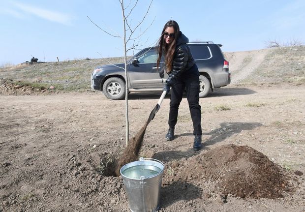 Leyla Əliyeva Qızılağac Milli Parkında ağac əkdi