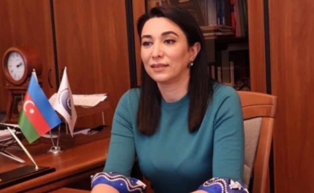 Azərbaycan Ombudsmanı beynəlxalq təşkilatlara çağırış edib