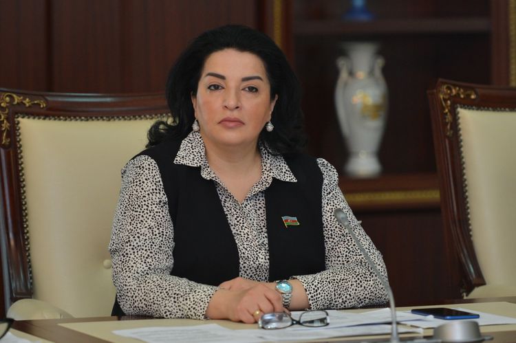 Fatma Yıldırım: "Prezident Ermənistandakı hazırkı mənzərəni dəqiq ifadə etdi"