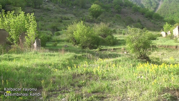 Kəlbəcərin Qasımbinəsi kəndindən görüntülər – VİDEO