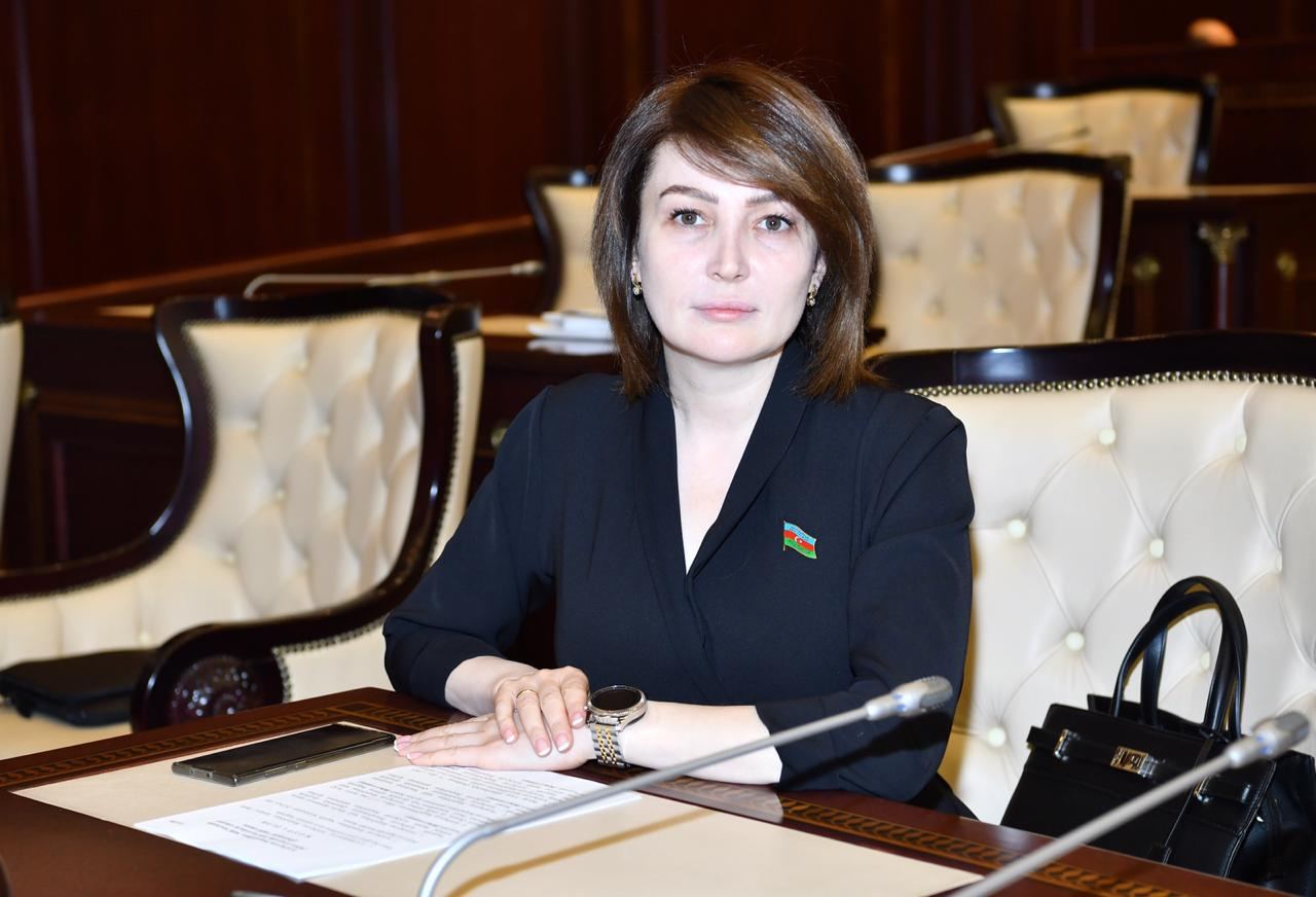 Deputat Əmək və Əhalinin Sosial Müdafiəsi Nazirliyinin qurumlarından şikayətləndi
