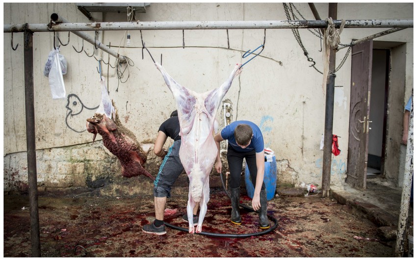 Qurban bayramı ilə əlaqədar kəsim məntəqələrinin ünvanları açıqlanacaq
