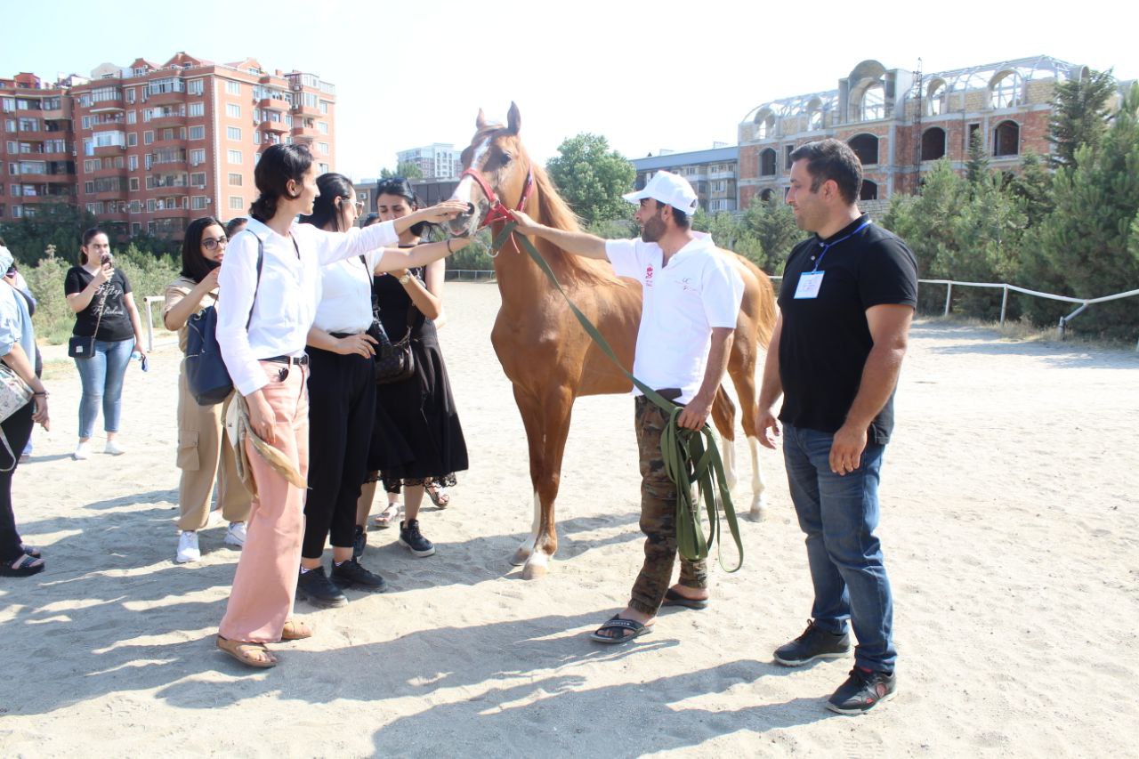 “Davam” “Qarabağ atları” layihəsinə start verdi - FOTOLAR