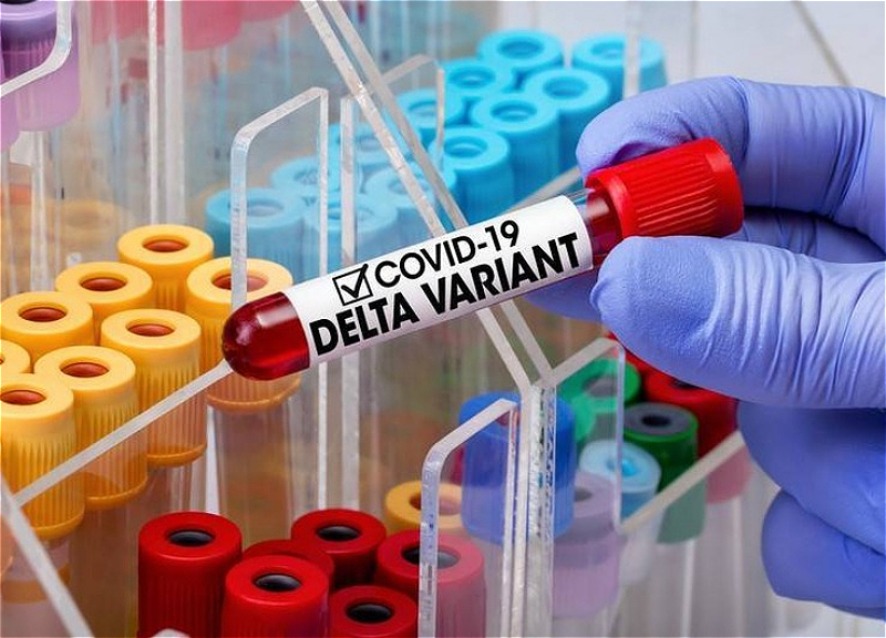 Rusiyada koronavirusun “Qamma” variantı yayıldı