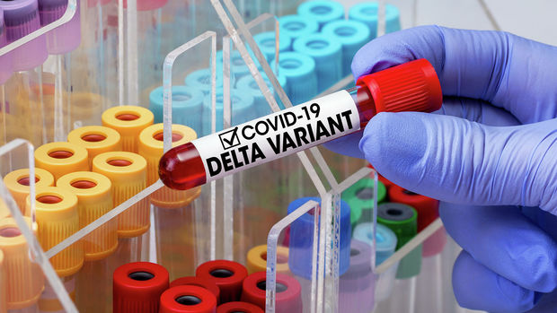 “Delta” ştammının yayıldığı ölkələrin sayı açıqlandı