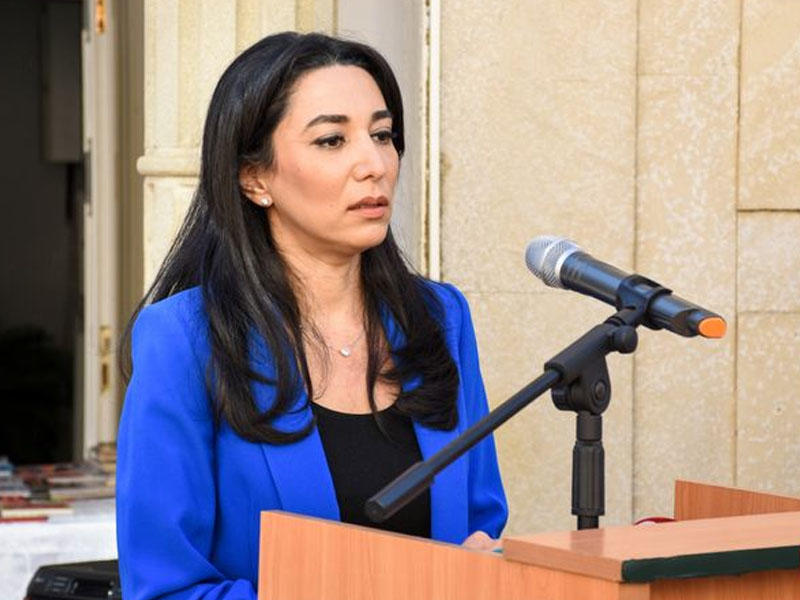 Ombudsman sərhəddə baş verən gərginliklə bağlı bəyanat verdi