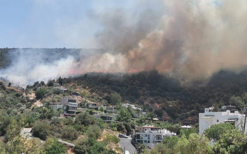 Bodrumda meşə yanğını nəzarət altına alındı