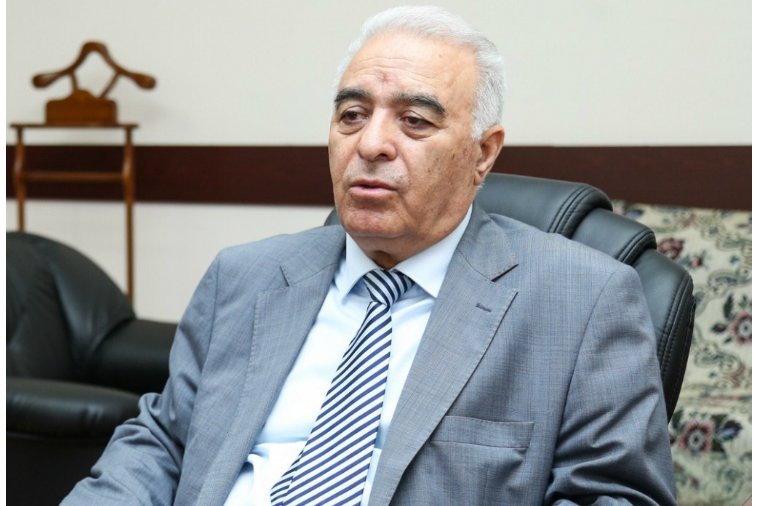 “Eldəniz Səlimovun polisə qarşı hərəkəti Milli Məclisin adına ləkədir”